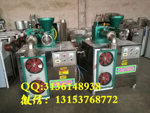 【天陽(yáng)電動(dòng)玉米冷面機(jī)技術(shù)新型鋼絲面機(jī)雜糧面條機(jī)報(bào)價(jià)】- 