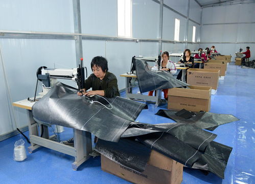 河津市僧樓鎮(zhèn)張家堡村村民在新建的噸包廠加工編織袋